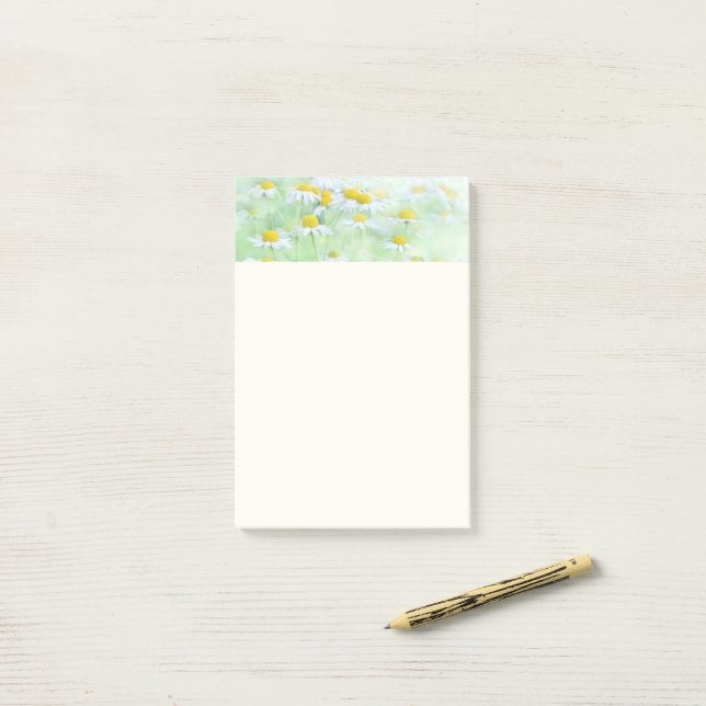 Pretty Daisies in a Field Photograph Post-it Notes (On Desk)