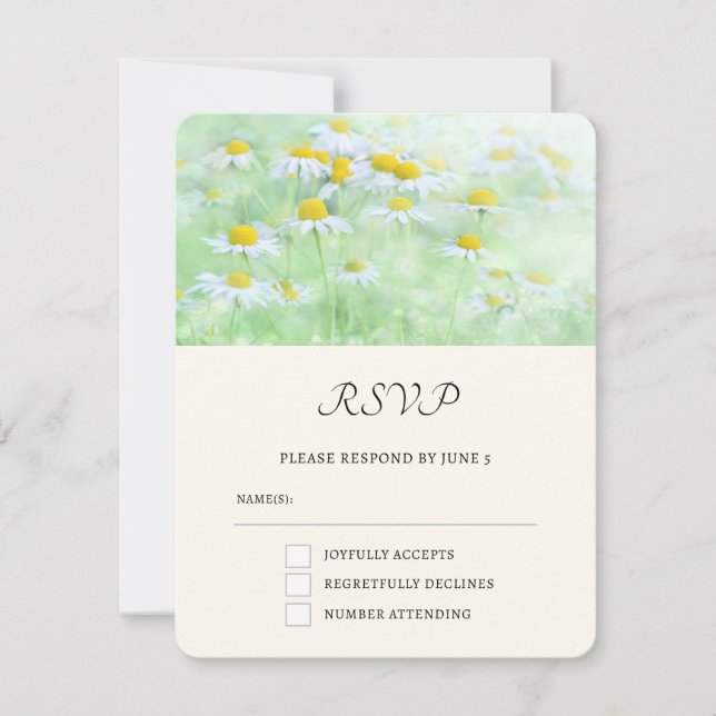 Pretty Daisies in a Field Photograph RSVP Card (Front)