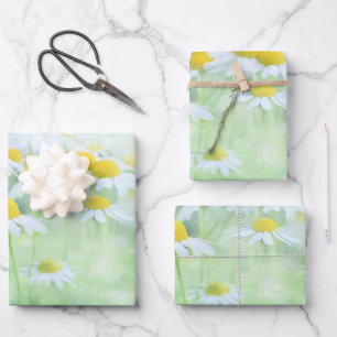 Pretty Daisies in a Field Photograph Wrapping Paper Sheet