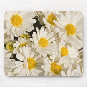 Pretty Daisies Mouse Pad