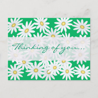 Pretty Daisies Postcard