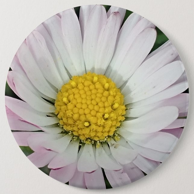Pretty daisy 6 cm round badge (Front)