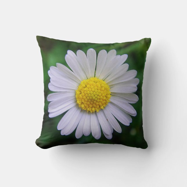 Pretty Daisy Cushion (Front)