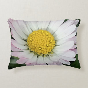 Pretty daisy decorative cushion