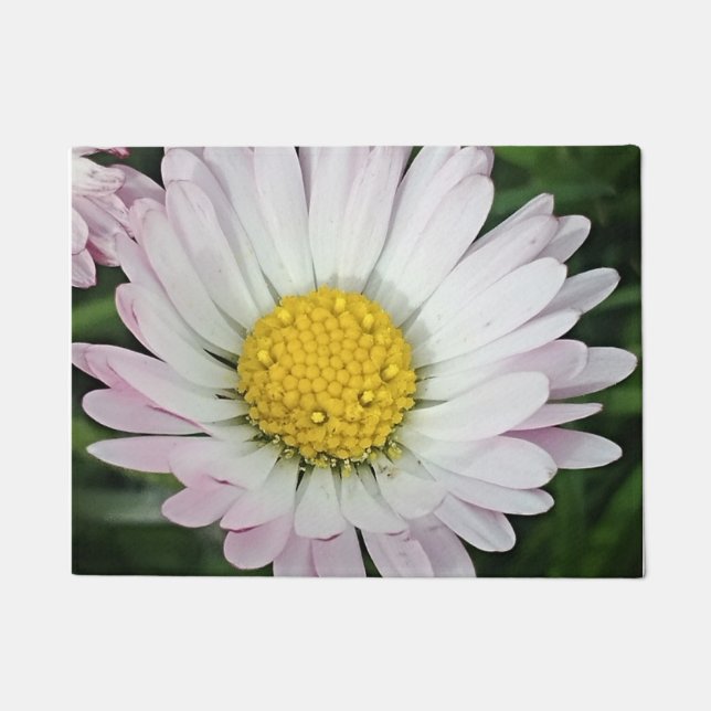 Pretty daisy doormat (Front)