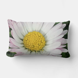 Pretty daisy lumbar cushion