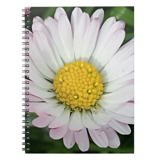 Pretty daisy notebook (Front)