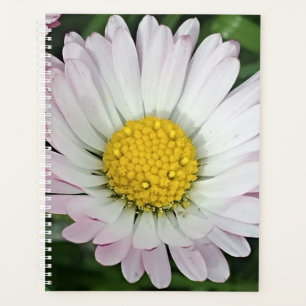 Pretty daisy planner