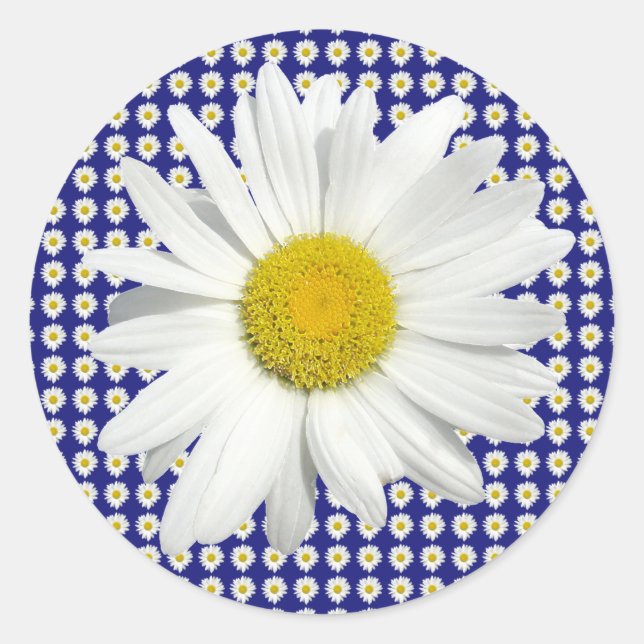 Pretty Daisy Stickers (Front)