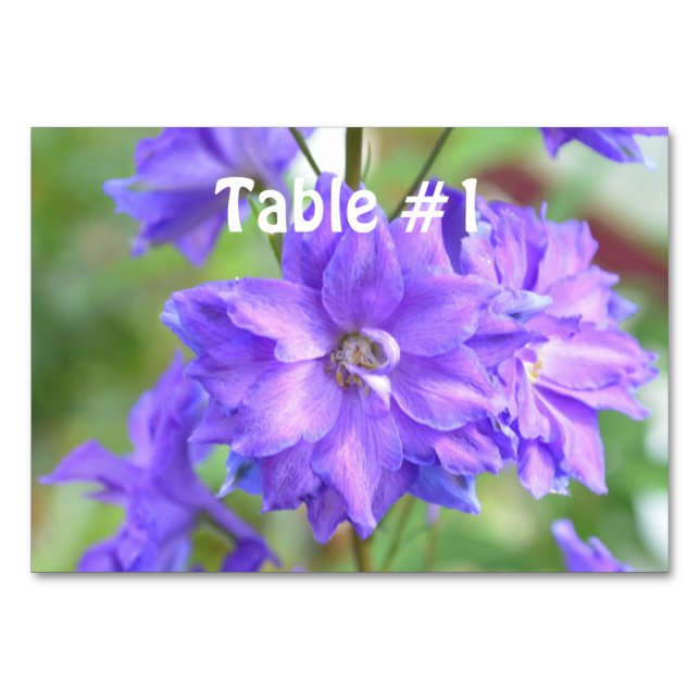 Pretty Delphinium Table Number (Front)