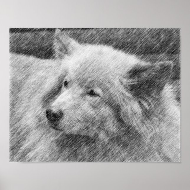 Pretty Dog Face Pencil Art  Poster (Front)