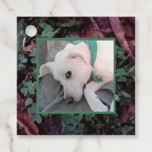 Pretty  Dog Wearing Green Scarf Shamrocks Clovers Favour Tags