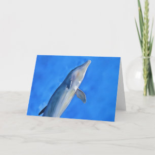 Pretty Dolphin Jumping in Air Art Note Card