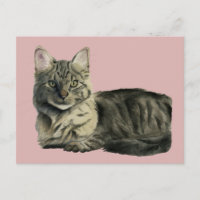 Pretty Domestic Medium Hair Kitty Cat Watercolor
