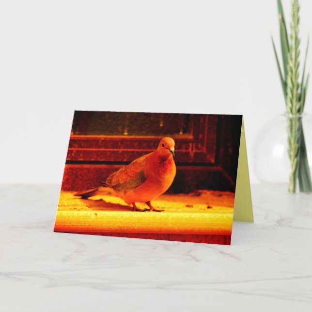 Pretty Dove Card (Front)