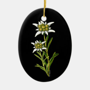 Pretty Edelweiss ornament
