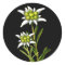 Pretty Edelweiss Stickers