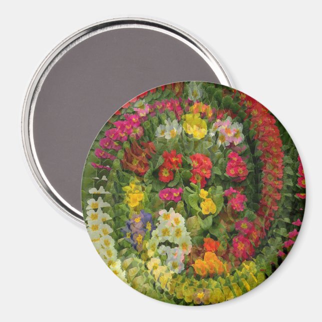 Pretty Evening Primroses..... Magnet (Front/Back)