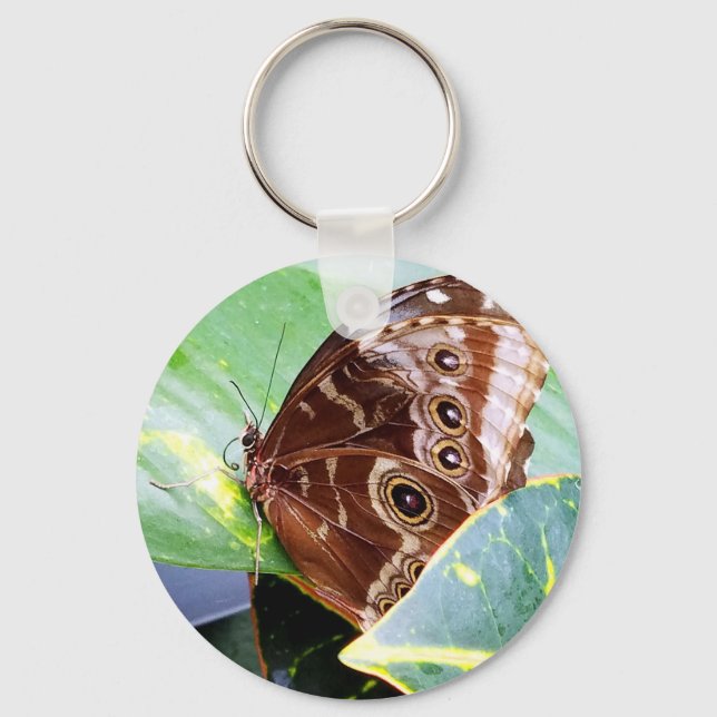 pretty eye butterfly moth brown tan picture bug key ring (Front)