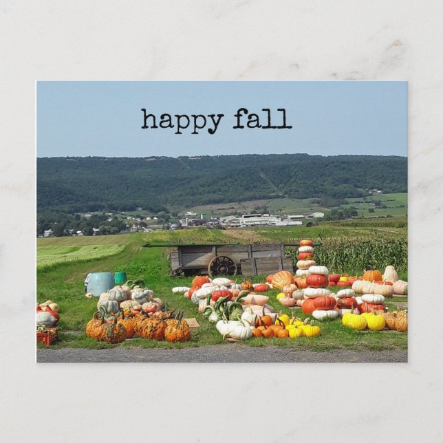 pretty fall pumpkin farm post card (Front)
