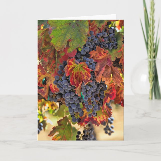 Pretty Fall Vineyard Blank Wine Card (Front)