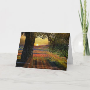 Pretty Fall Wine Vineyard Blank Card