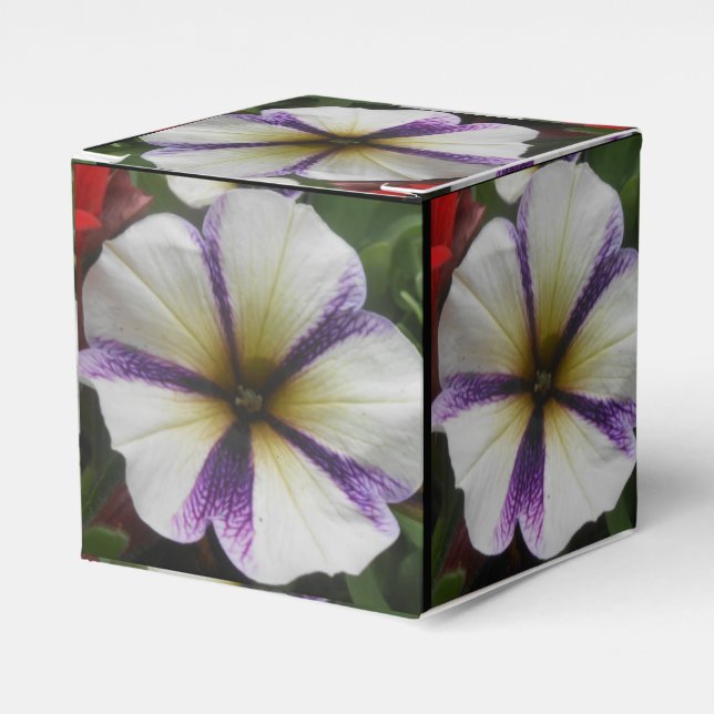 Pretty Favour Box (Front Side)