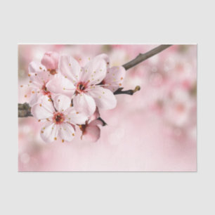 Pretty Feminine Pink Cherry Floral Spring Sakura Tissue Paper