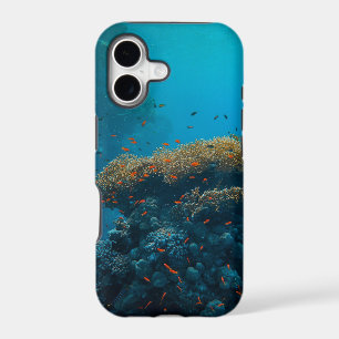 Pretty Fishes And Reefs