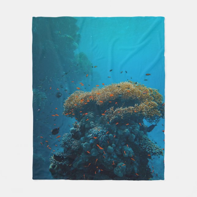 Pretty Fishes And Reefs Fleece Blanket (Front)