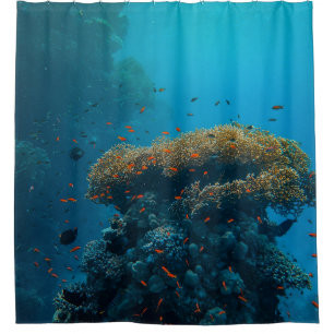Pretty Fishes And Reefs Shower Curtain