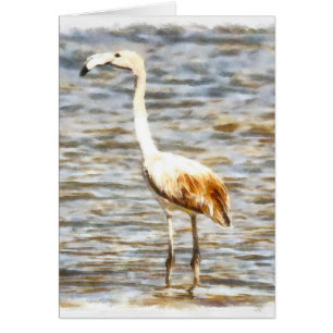 Pretty Flamingo Fledgling Watercolor