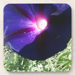 Pretty Floral Coaster