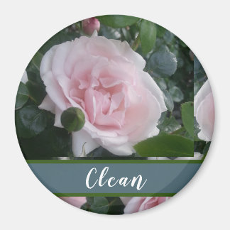 Pretty Floral Pink Roses Magnet