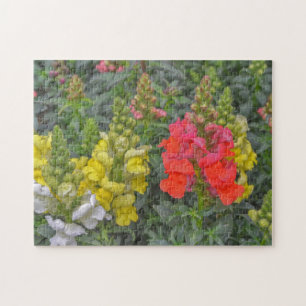 Pretty Floral Puzzle Snapdragon Flowers Colourful