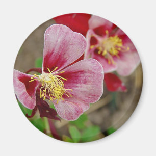 Pretty Flower Magnet
