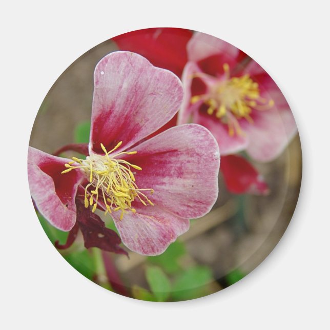 Pretty Flower Magnet (Front)