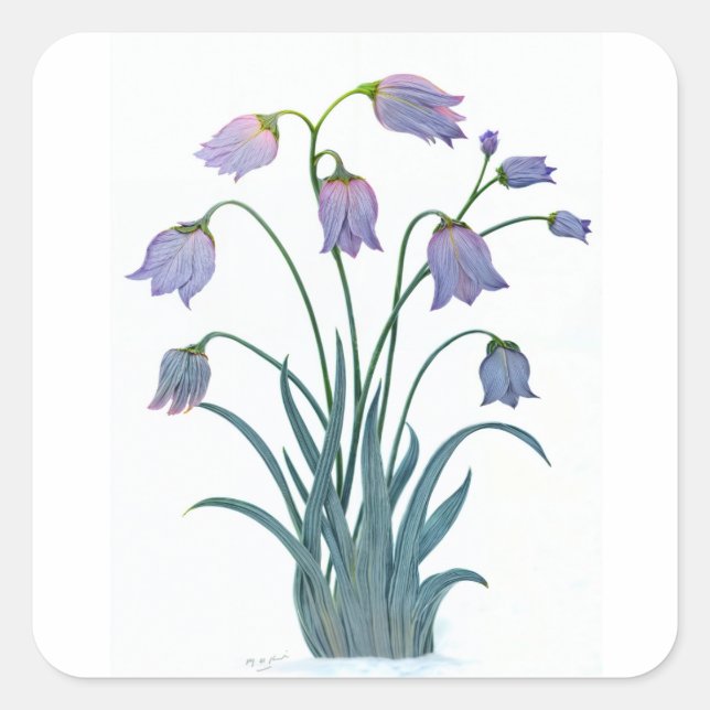 PRETTY FLOWER ON SQUARE STICKER (Front)