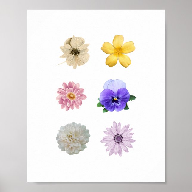 Pretty flower poster  (Front)