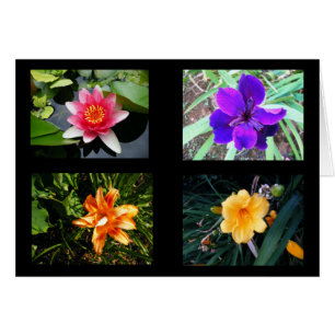 Pretty Flowers, Blank