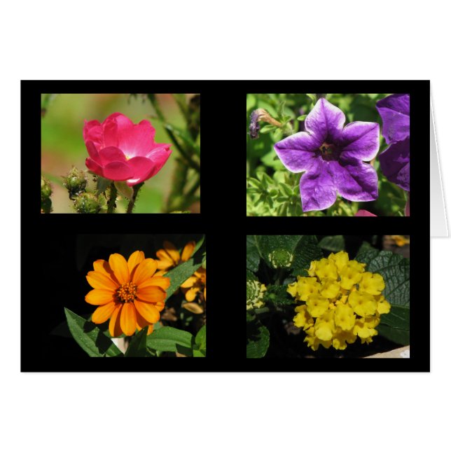 Pretty Flowers Collection (Front Horizontal)