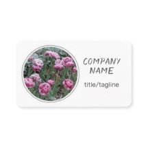 pretty flowers pink tulips on white