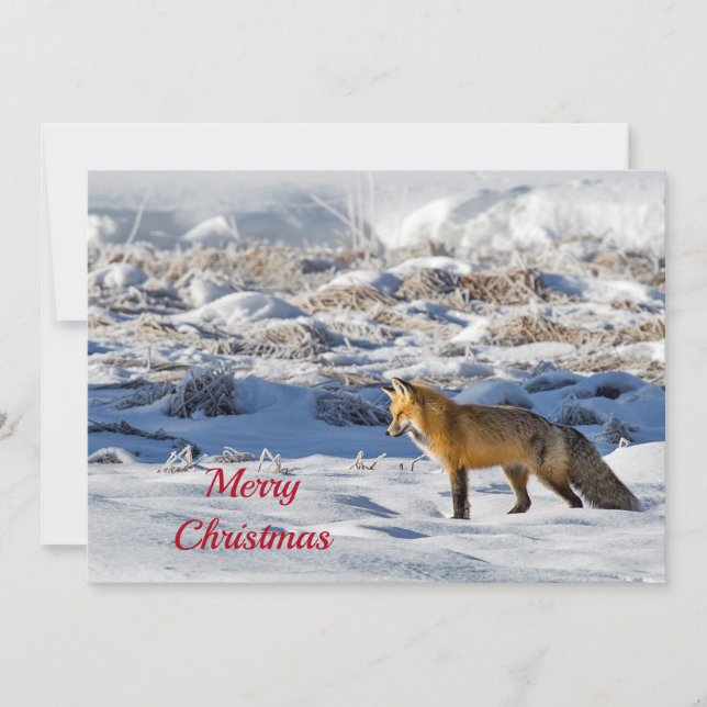 Pretty Fox Snow Photo Christmas Flat Holiday Card (Front)