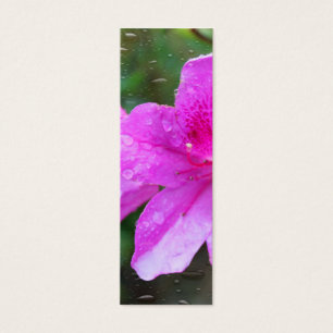 Pretty, fresh pink garden flowers, rain drops