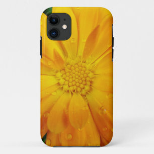 pretty, fresh yellow daisy flower iPhone 11 case