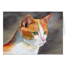 Pretty ginger cat (a348)