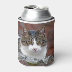 Pretty Girl Can Cooler