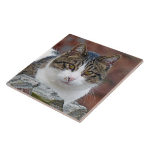 Pretty Girl Ceramic Tile