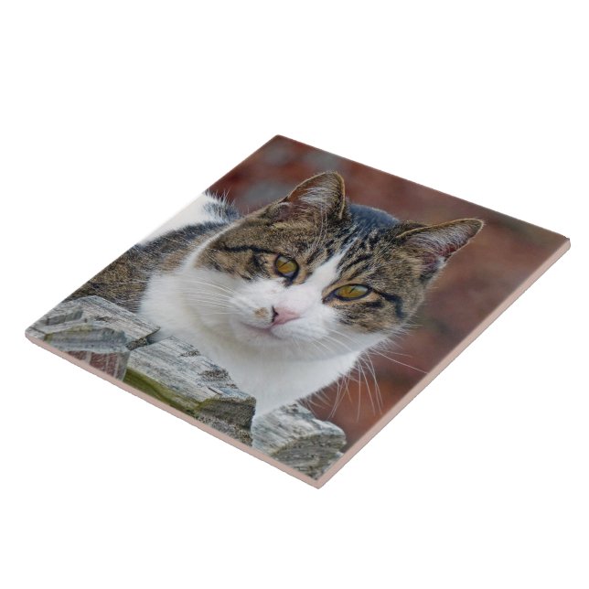 Pretty Girl Ceramic Tile (Side)