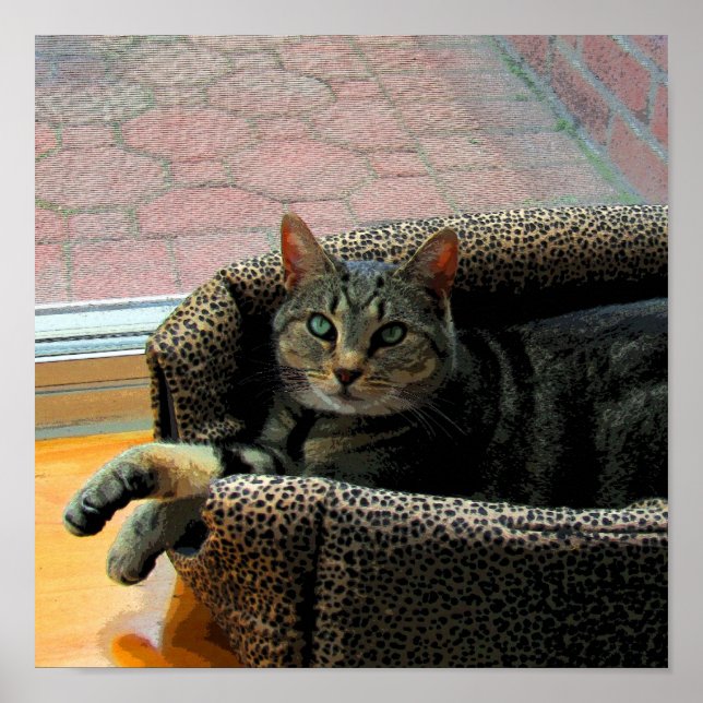 Pretty Girl Indigo CB Poster (Front)